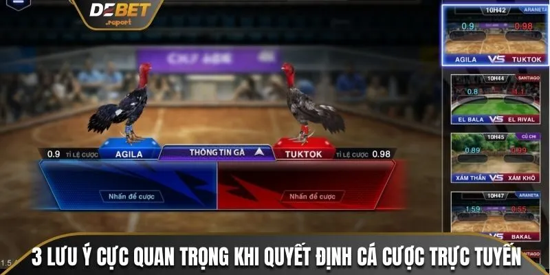 Đá Gà Cựa Sắt - Hướng Dẫn Cách Chơi Chuẩn Nhà Cái Debet 4 3 lưu ý cực quan trọng khi quyết định cá cược trực tuyến