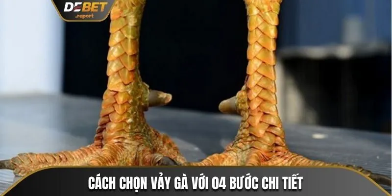 4 Bước Cách Xem Vảy Gà Đá Và Cách Phân Biệt Loại Vảy Xấu 3 Cách chọn vảy gà với 04 bước chi tiết