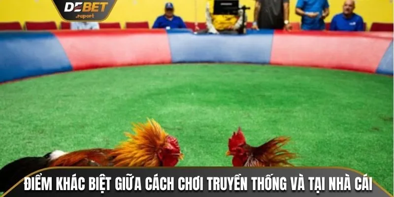 Đá Gà Nòi - Cách Để Chọn Chiến Kê Đỉnh Cao Tại Debet 4 Điểm khác biệt giữa cách chơi truyền thống và tại nhà cái