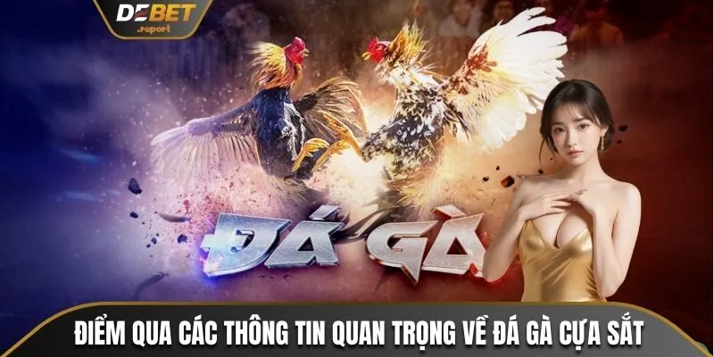 Đá Gà Cựa Sắt - Hướng Dẫn Cách Chơi Chuẩn Nhà Cái Debet 2 Điểm qua các thông tin quan trọng về đá gà cựa sắt
