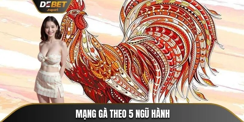 Cách Xem Màu Mạng Gà Chuẩn Phong Thủy Tăng Tỷ Lệ Thắng 90% 3 Mạng gà theo 5 ngũ hành
