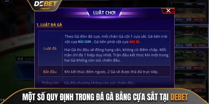 Đá Gà Cựa Sắt - Hướng Dẫn Cách Chơi Chuẩn Nhà Cái Debet 3 Một số quy định trong đá gà bằng cựa sắt tại Debet