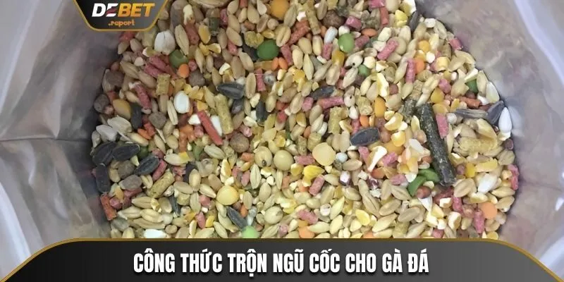 Ngũ Cốc Cho Gà Đá Cùng Thành Phần, Công Thức Trộn Cụ Thể Nhất 3 Nguyên liệu và tỷ lệ trộn ngũ cốc cho gà đá