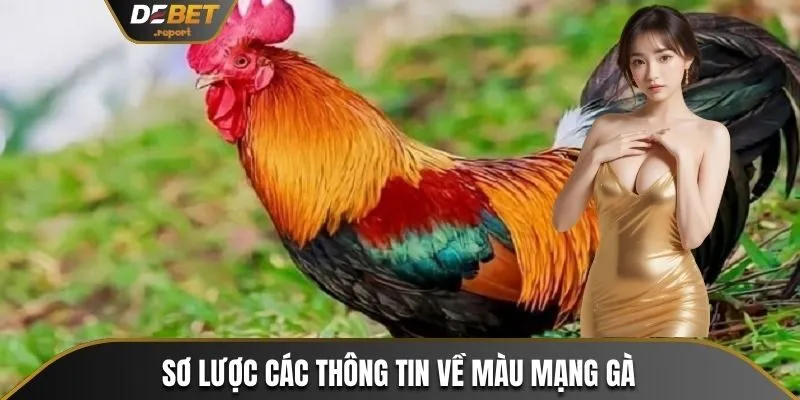 Cách Xem Màu Mạng Gà Chuẩn Phong Thủy Tăng Tỷ Lệ Thắng 90% 2 Sơ lược các thông tin về Màu Mạng gà